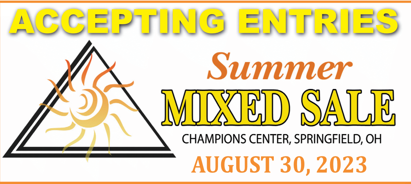 Blooded Horse Sales Company